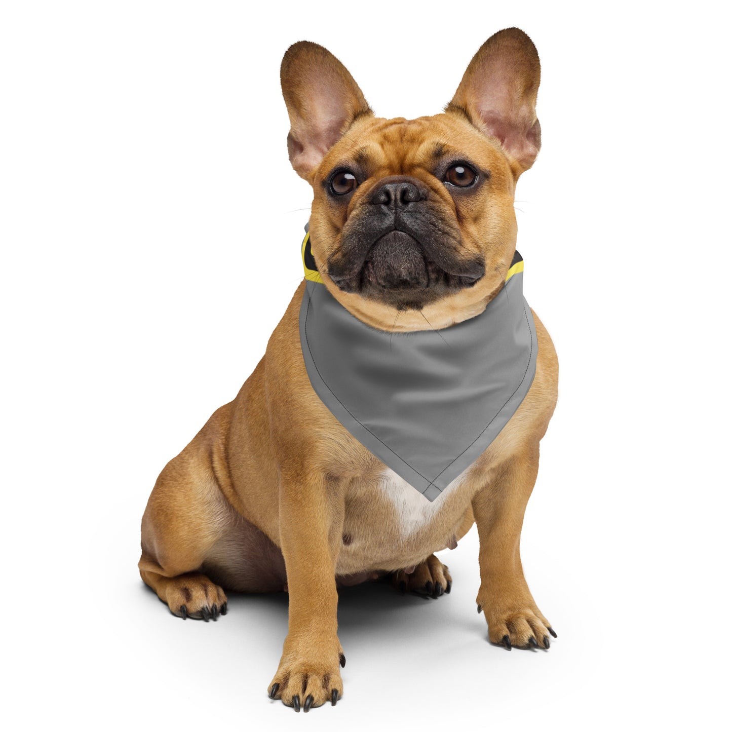 THERE IS NO CAUSE FOR ALARM Bandana Scarf