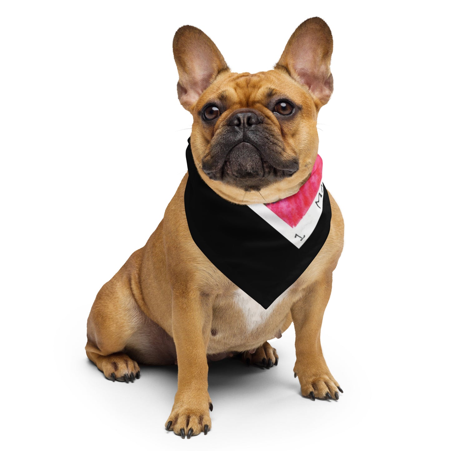 Sheela na Gig 1 Bandana Scarf