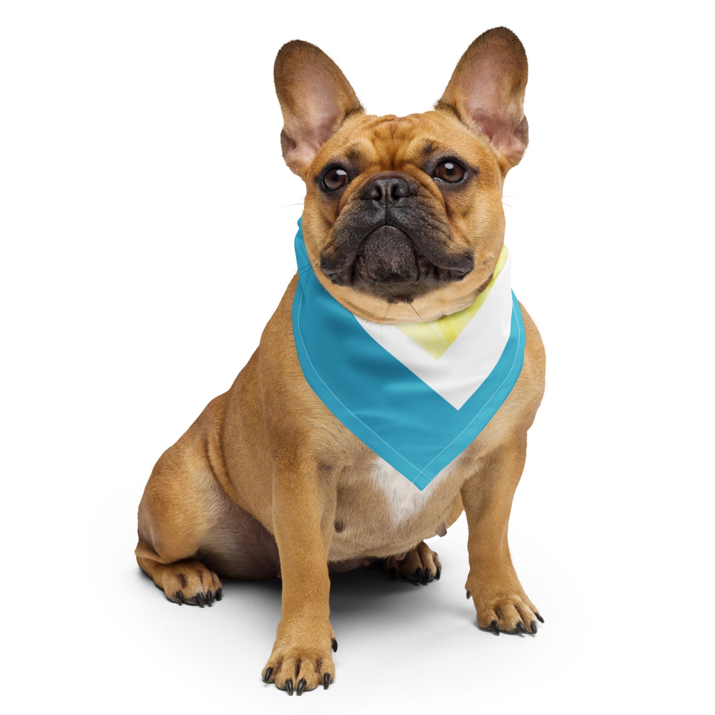 Berehynia with Sunflower Seeds Bandana Scarf