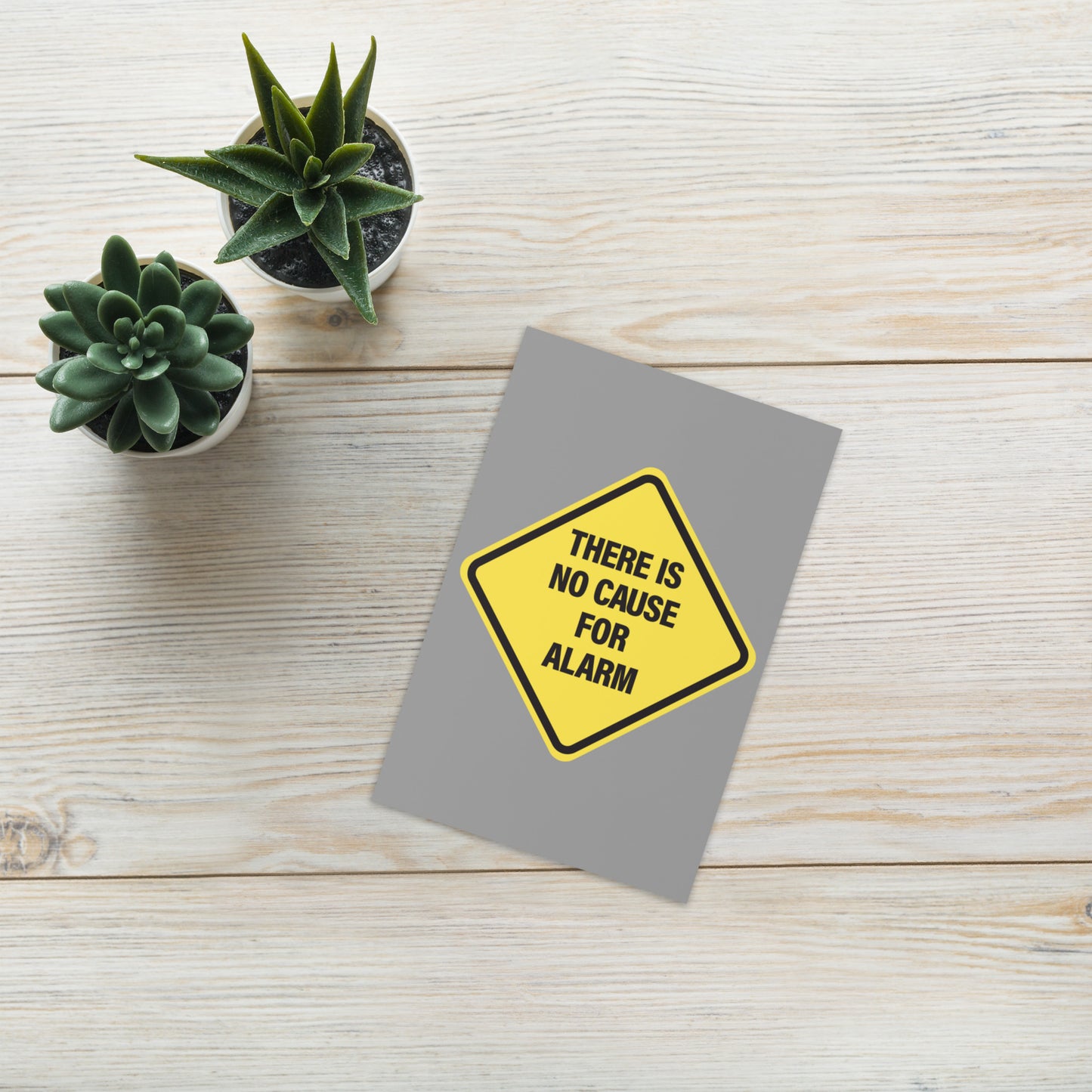 THERE IS NO CAUSE FOR ALARM Blank Greeting Card