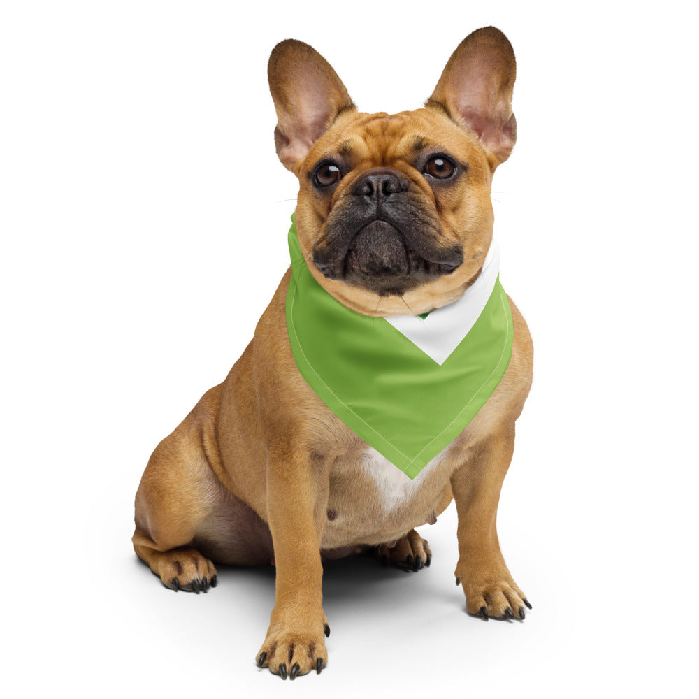 Demeter Chloë Bandana Scarf