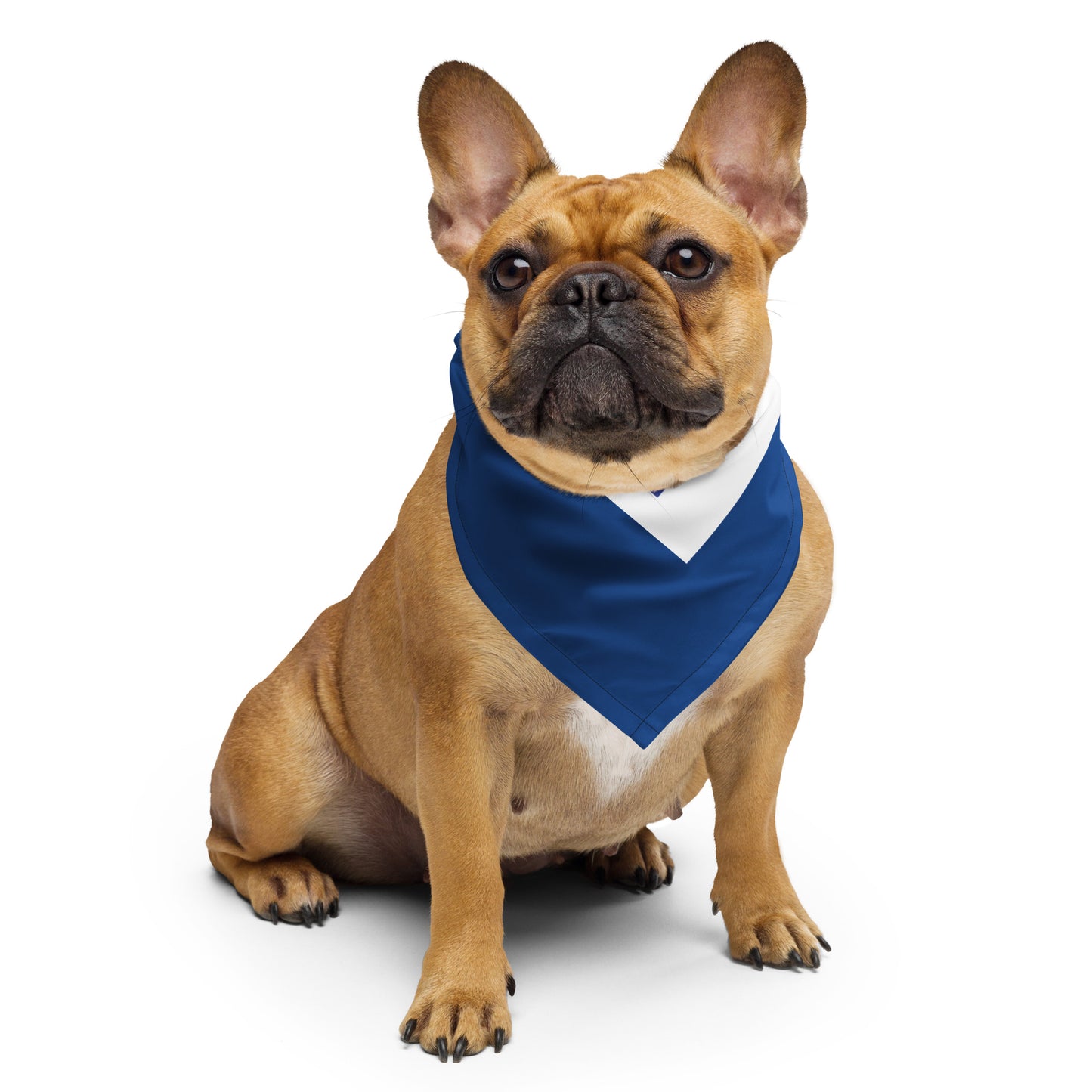 Tethys Primordial Mother Bandana Scarf