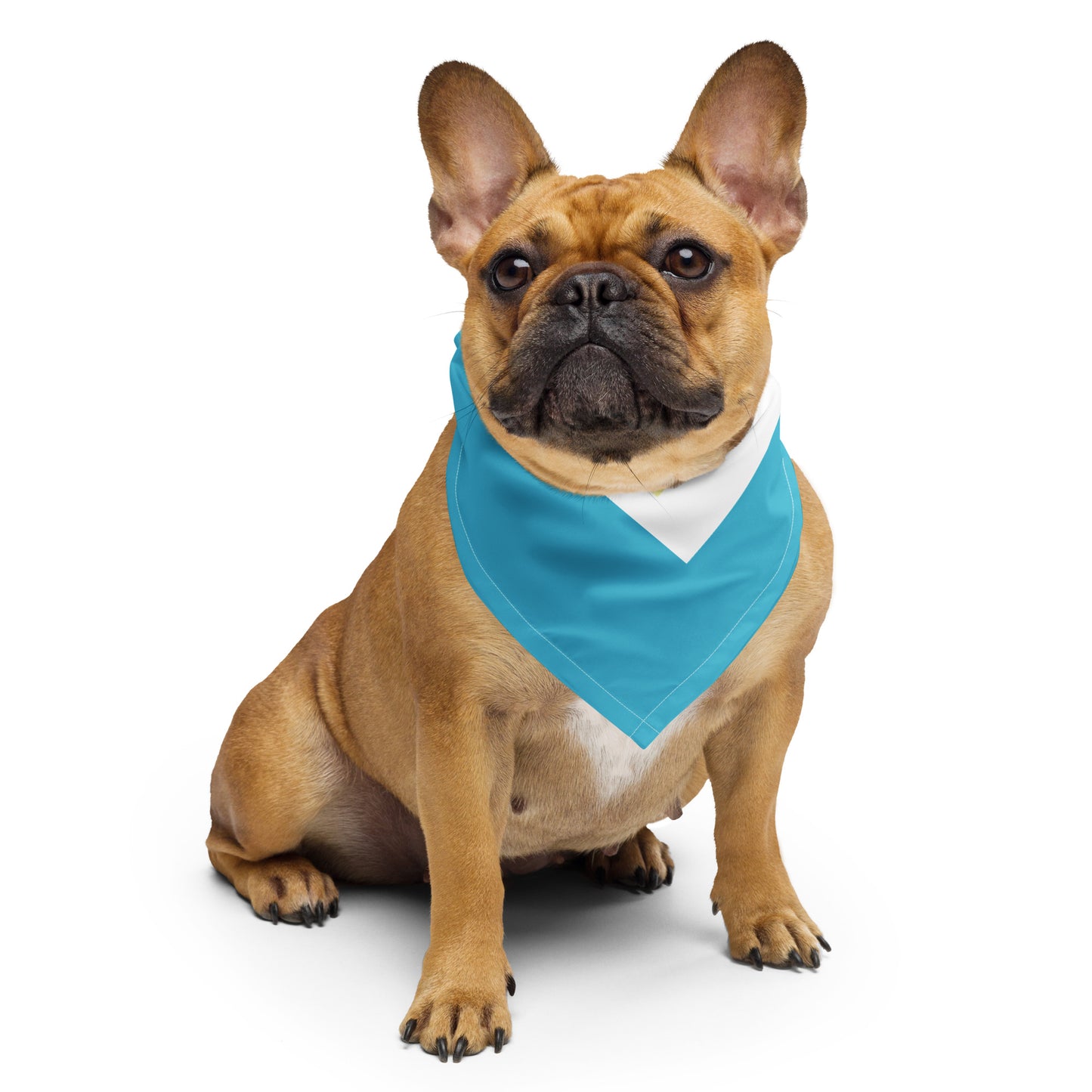 Berehynia with Sunflower Seeds Bandana Scarf