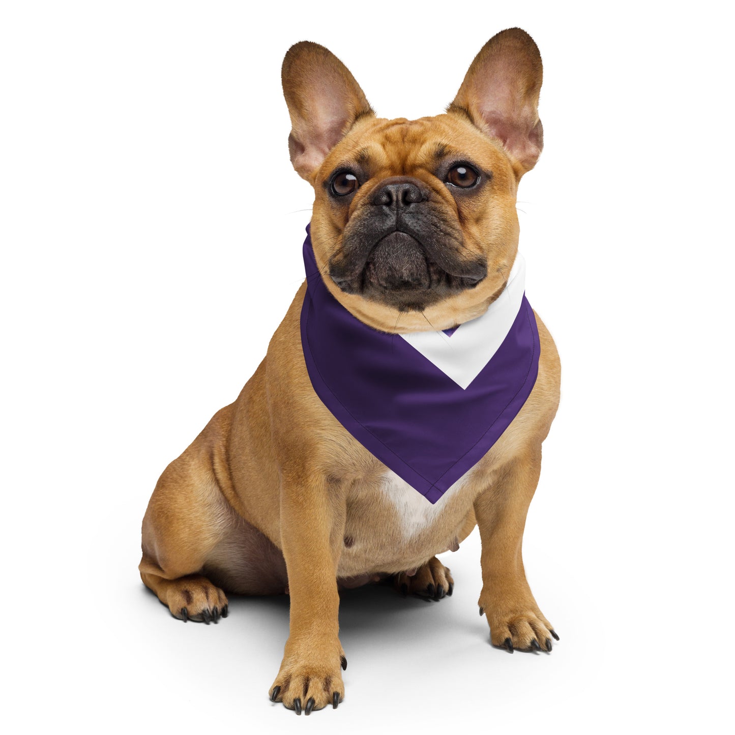 Neith Opener of the Ways Bandana Scarf