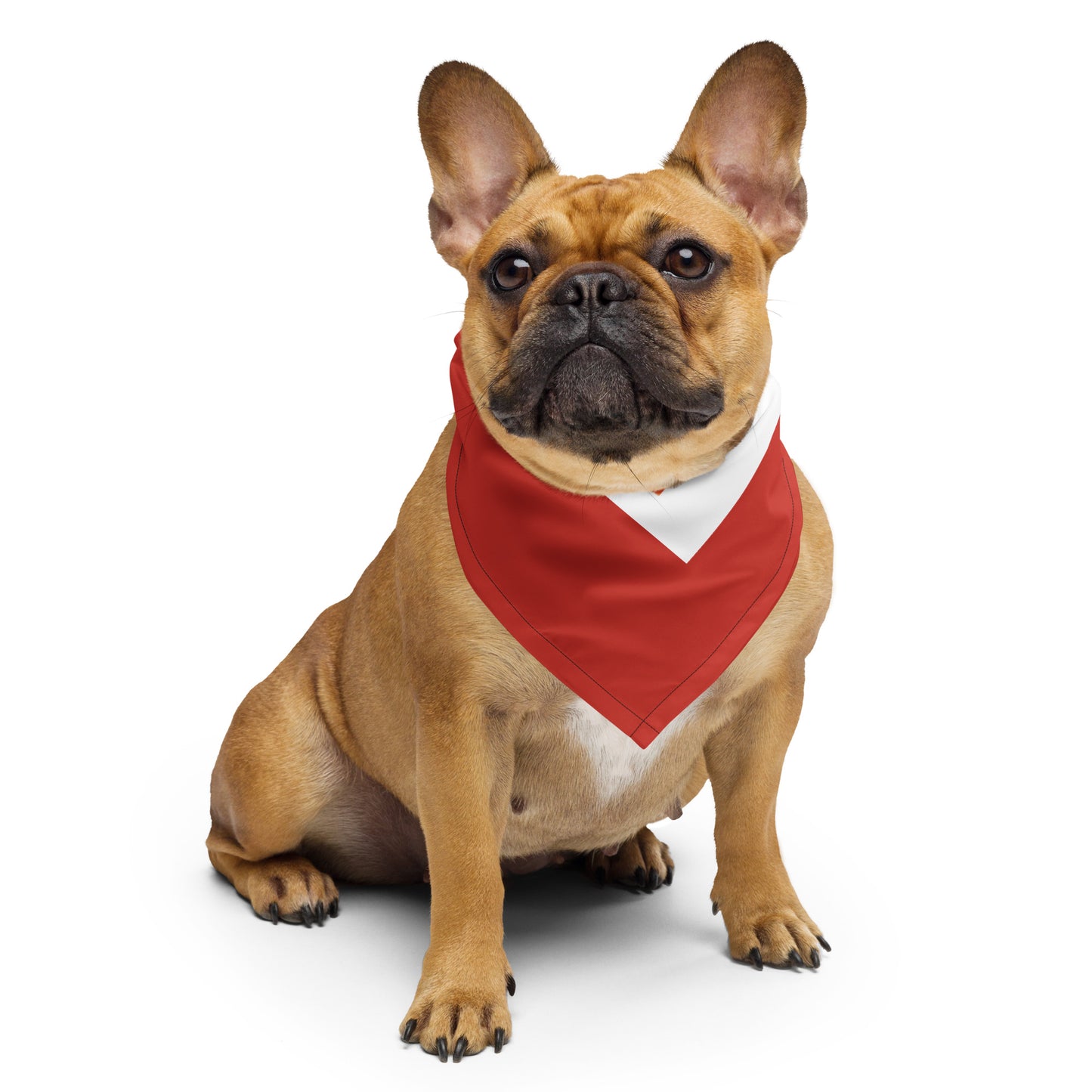 Pomona Bandana Scarf