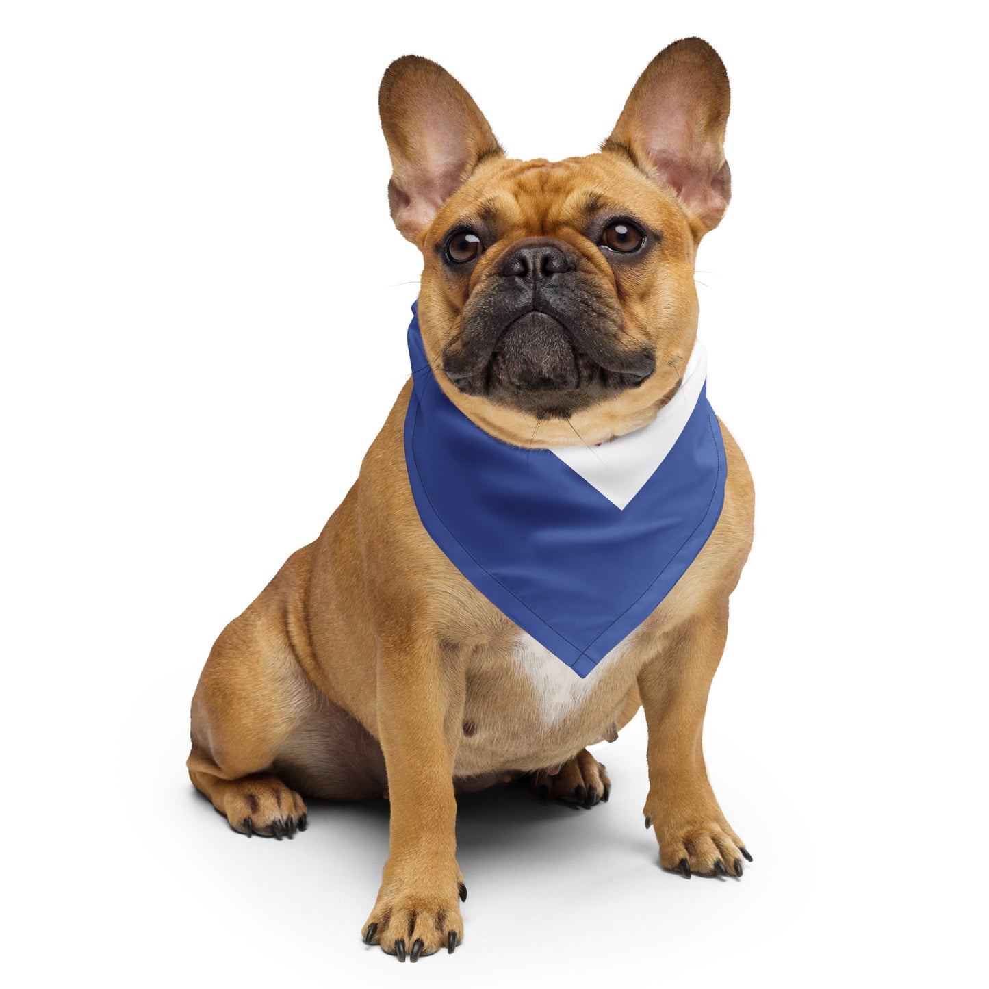 Sirona Bandana Scarf